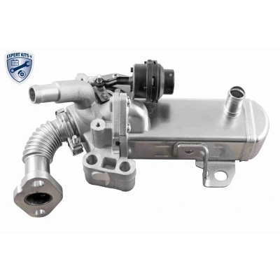 Imagen de ACKOJA A38 63 0004 Válvula EGR eléctrico con radiator Unidad de control/software se debe actualizar NISSAN: Cabstar, NP300 Navara Pick up