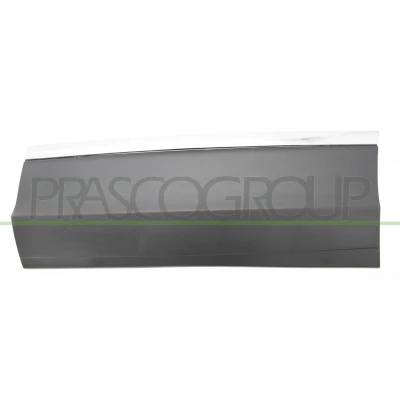 Imagen de Listón embellecedor/protector, puerta PRASCO VG8101464