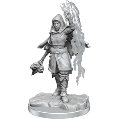 Imagen de Wizkids D&amp;D Nolzurs Marvelous Half Elf Warlock Miniatures
