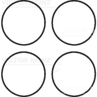 Imagen de REINZ 11 41336 01 Juego de juntas, colector admisión BMW: 5 Berlina, 3 1 Hatchback