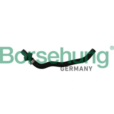 Imagen de Borsehung B11971 Sistema de Ventilacion del Carter VOLKSWAGEN: Passat B6 Berlina, GOLF 6, CC, SEAT: Leon II Hatchback, Altea XL,