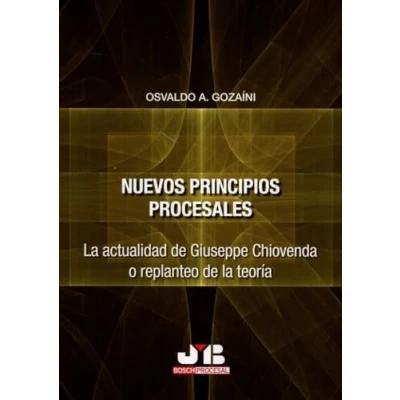 Imagen de Nuevos Principios Procesales. La Actualidad De Giuseppe Chiovenda O Re