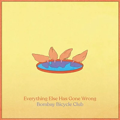 Imagen de Everything Else Has Gone Wrong [Vinilo]