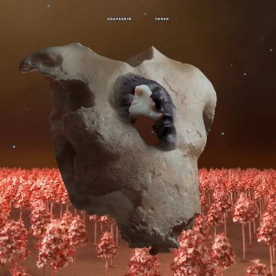 Imagen de Torso (2lp) [Vinilo]