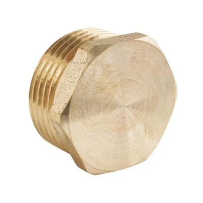 Imagen de SOMATHERM FOR YOU Plug crudo Brass Masculino 20/27 Bolsa de 2 piezas