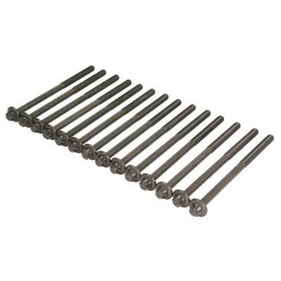Imagen de ELRING 233.380 Juego de Tornillos Culata Torx exterior BMW: X5, 3 Touring, X6 norauto, oscaro, mister auto