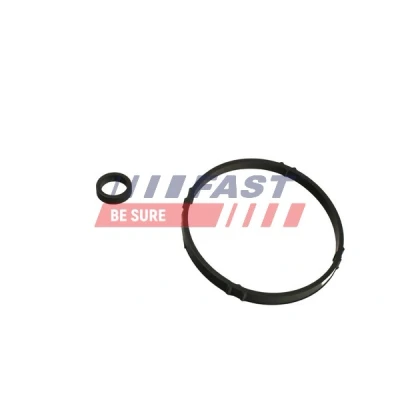 Imagen de FAST FT48952 Juntas Carcasa filtro de aceite, Bloque motor PEUGEOT: Partner I Combispace, 106 II Hatchback, 307 CITROËN: C2 Hatchback