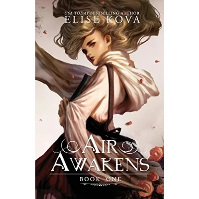 Imagen de Air awakens (air series book 1)