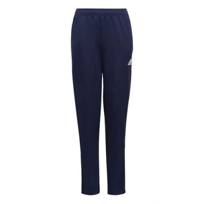 Imagen de adidas Entrada 22 Training Pants Pantalones Deportivos, Unisex niños, Team Navy Blue 2, 7 8 Years