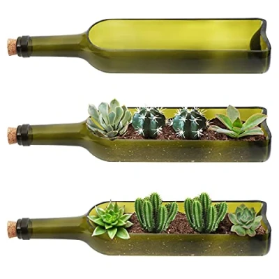 Imagen de BELLE VOUS Pack de 3 Macetas Decorativas Botella Vino para Suculentas 32 x 7,1 cm Sección Recorte Ovalada Placas, Flor, Maceta Cactus, Bambú, Jardín, Terrario y Decoración del Hogar