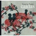 Imagen de Caídas (babil)