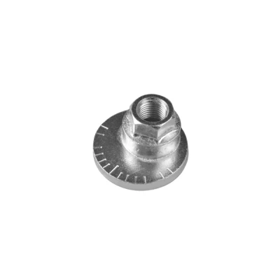 Imagen de TEDGUM TED48023 Tornillo corrector de inclinación TOYOTA: RAV4 II SUV