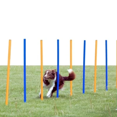 Imagen de Trixie 3206 Eslalom para Agility, 115 x 3 cm, Azul Naranja