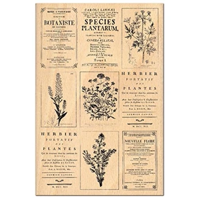 Imagen de Florilèges Diseño FHA 112037 Sello para Scrapbooking, fantasía: ERBOLARIO, 15 x 10 2,5 cm, Color: Amarillento