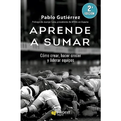 Imagen de Aprende A Sumar: Cómo crear, hacer crecer y liderar equipos (SIN COLECCION)
