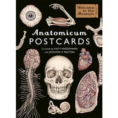 Imagen de Big Picture Press Anatomicum Postcard Box