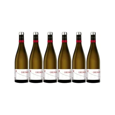 Imagen de CUATRO RAYAS Circense Verdejo Vino Blanco DO Rueda (6 Botellas x 750ml)