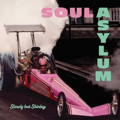 Imagen de Slowly But Shirley [Vinilo]