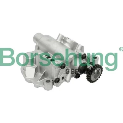 Imagen de Borsehung B18737 Bomba de Aceite AUDI: A5 B8 Cabrio, Q5, Coupé, VOLKSWAGEN: GOLF 6, Passat B6 Variant, Berlina