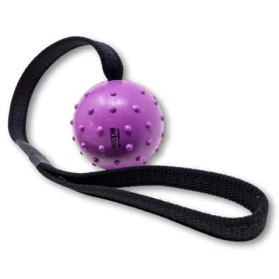 Imagen de WEPO Juego de 3 pelotas lanzamiento para perros, juguetes perros en la cuerda, pequeños