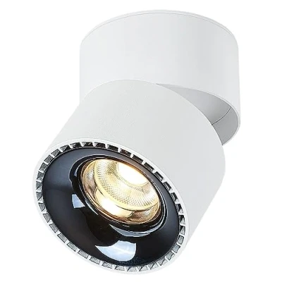 Imagen de Budbuddy 12W Lámpara de Techo LED con 1 Focos Orientables Para Moderno Plafón Regulable Superficie Luz Blanca Interior Pasillo Salón Tiendas etc,3000K