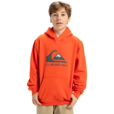 Imagen de Quiksilver Big Logo Hoodie Jersey de Forro Polar Niño