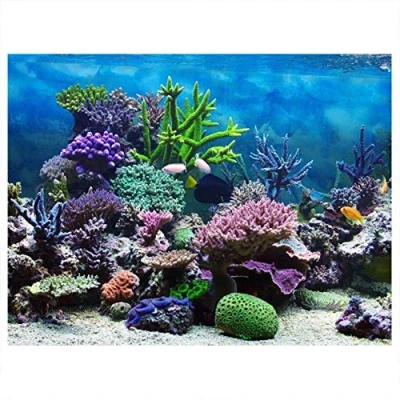 Imagen de Mumusuki Cartel de Acuario Submarino Coral Marino Tanque Peces Fondo Espesar PVC Adhesivo Estático Telón Papel Decorativo Adhesivos Adhesivos(61 * 30cm)