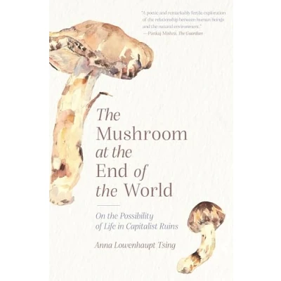 Imagen de The Mushroom At End Of World