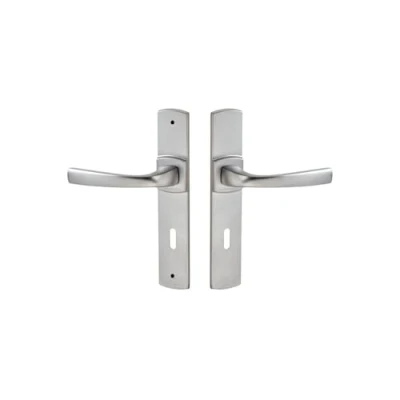 Imagen de Ensemble muze grand model type clé l finition chromé velours vachette 086442