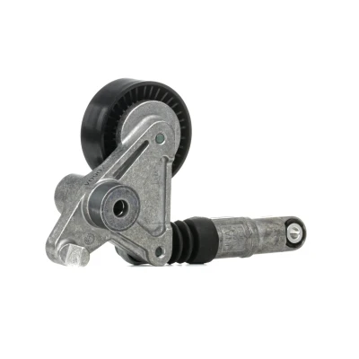 Imagen de SKF VKM 31300 Polea Tensora AUDI: Q7, A8 D3, A4 B8 Avant, VOLKSWAGEN: Touareg I, II norauto, oscaro, mister auto