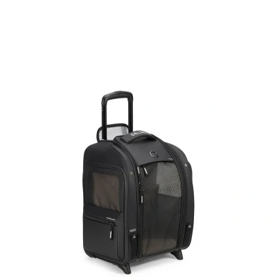Imagen de Delsey Paris Raspail 2ROLLEN Kabinentrolley 48 CM Juego de maletas, Talla: One Size, Noir