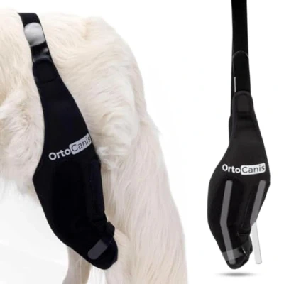 Imagen de Ortocanis Inmovilizador de Rodilla para Perros con Rotura Ligamentos, Luxación Rótula, Talla XL Pierna Derecha