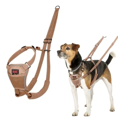 Imagen de Arnés anti tirones HALTI para evitar que tu perro tire de la correa, Ajustable, Ligero y Fácil Usar. Reflexiva Adiestramiento canino perros pequeños (Talla S, Arena del Desierto)