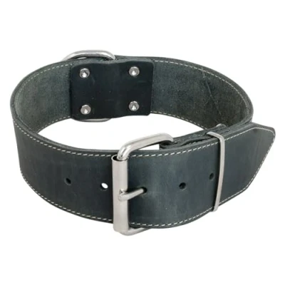 Imagen de JACK AND VANILLA, Collar Ancho para Perro, Modelo de Piel Grasa, Color Gris, tamaño 30 mm x 45 cm