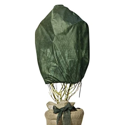 Imagen de Windhager Cubierta de Invierno térmica para jardín, protección contra el frío Rosas, 3 Unidades, 0,75 x 1 m, 30 g/m, 06726, Color Verde