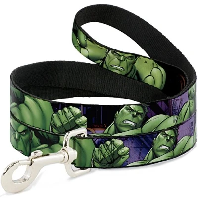 Imagen de Buckle Down Correa para Mascotas, Poliéster, Multicolor, 6 Feet Long 1/2 Wide