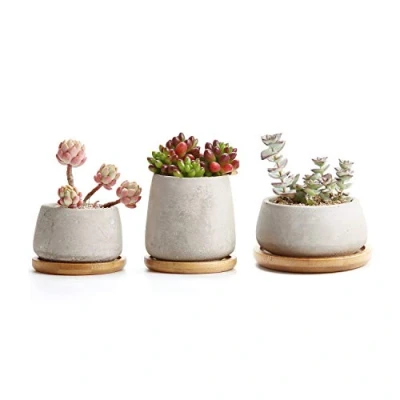 Imagen de T4u Rachel&#039;s Serie de Cemento Suculento Cactus Macetas Jardineros Contenedores Cajas Ventana Colección con Bandeja de, Paquete 3