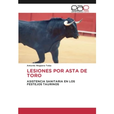 Imagen de LESIONES POR ASTA DE TORO: ASISTENCIA SANITARIA EN LOS FESTEJOS TAURINOS