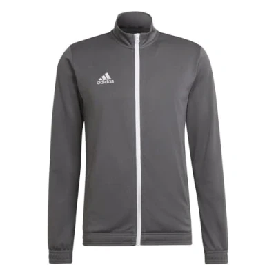 Imagen de adidas Performance Entrada Jacket Chaqueta de entrenamiento, Hombre, Talla: 3XL, Team grey