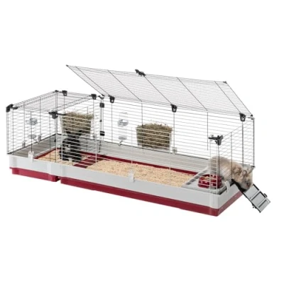 Imagen de Ferplast Jaula Conejos KROLIK 160 Espaciosa y Modular, Techo Abatible, Escalera Frontal, Clips de Seguridad Accesorios Incluidos Eco Sostenible 162 x 60 h 50 cm