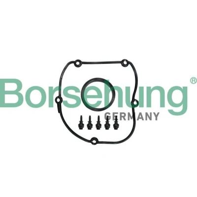 Imagen de Borsehung B10629 Juntas AUDI: A5 B8 Coupé, A4 Avant, Q5, VOLKSWAGEN: Multivan 5 (7HM, Golf 5, Tiguan I
