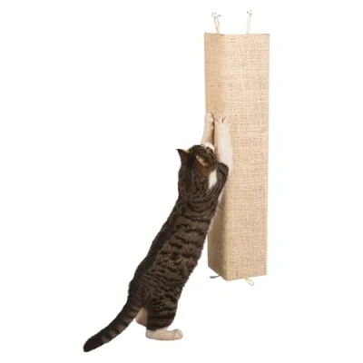 Imagen de Tabla de rascar Kevin Sisal, 100 x 56 cm, color beige