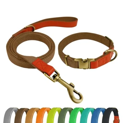 Imagen de Qianruida Juego de Collar y Correa para perros ajustable perro pequeños, medianos grandes, marrón, M