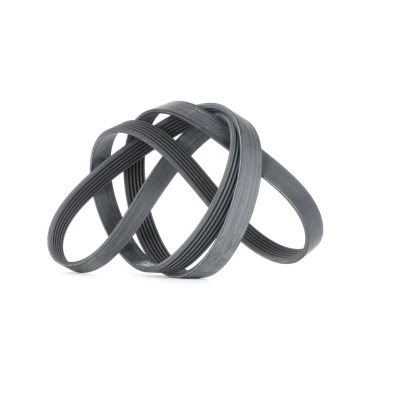 Imagen de CONTITECH 6PK1780 Correa trapecial poli V 1780 6 BMW: 3 Touring, Berlina, Coupé, RENAULT: LAGUNA 2, ESPACE 3, Vel Satis, FORD: Transit Mk5 Bus