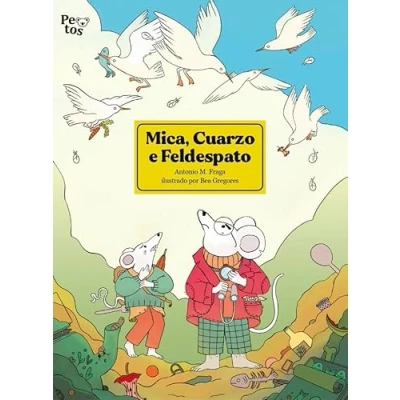 Imagen de MICA, CUARZO E FELDESPATO: 1 (POCKETS)