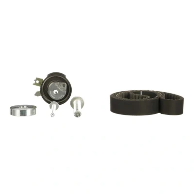 Imagen de GATES FleetRunner Micro V Stretch Fit K025578XS Kit de correa distribución RENAULT: SCENIC 3, CLIO Megane II Furgón / Hatchback norauto, oscaro,
