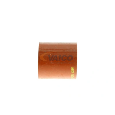 Imagen de VAICO V10 3756 Manguera Turbo Caucho con refuerzo textil Original calidad de AUDI: A4 B7 Avant, Berlina, A6 C6 Berlina