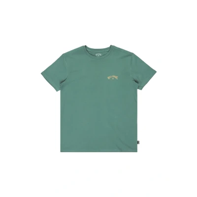 Imagen de Billabong Arch Wave SS Screen tee para Niño Sagebrush Green 10 años