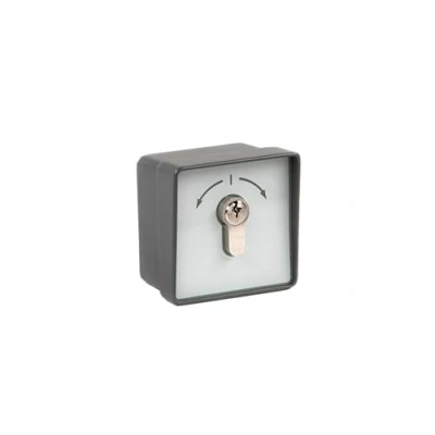 Imagen de AMZ 1 2T/1, Interruptor de llave con cilindro