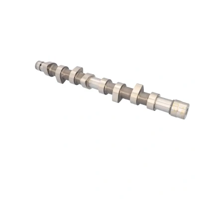 Imagen de FEBI BILSTEIN 18359 Árbol de Levas CITROËN: Xsara Hatchback